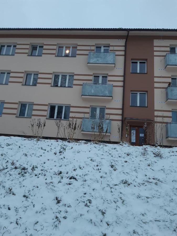 Apartman U Kunstatskeho Mlyna Apartment Orlicke Zahori Exterior foto